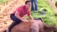 Indignación en el deporte por dos jinetes montando un caballo muerto que ya están siendo investigados