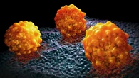 Las incipientes vacunas contra el cáncer: una basada en células madre podría proteger contra el de páncreas