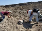 Un equipo científico anuncia el descubrimiento de una nueva especie vinculada al origen del ser humano