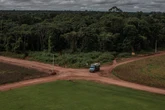 Brasil suspende un instrumento eficaz para frenar la deforestación en la Amazonia