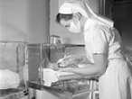 La investigación sobre adopciones forzadas en Países Bajos señala la responsabilidad del Estado, la Iglesia y la sociedad