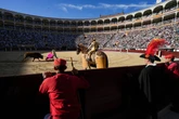 Comienza San Isidro, la feria taurina de referencia, tan larga como carente de carteles innovadores