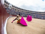 Telemadrid invierte 2,9 millones de euros en la Feria de San Isidro y comparte gastos de producción con Castilla La Mancha, Aragón, Murcia y Aguascalientes