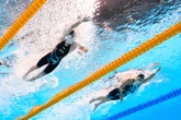 Ledecky gana la final del 800 de punta a punta y hunde a McIntosh en un último 50 inolvidable