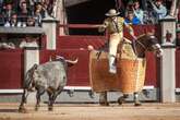 Cuatro corridas de acento torista y dos novilladas picadas abren la temporada de 2025 en Las Ventas