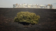 El fuego asola España: declarada la fase de preemergencia tras miles de desalojos en León, Madrid y Cádiz