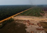 Los incendios provocan una pérdida de bosques histórica: los tropicales desaparecen a un ritmo de 18 campos de fútbol por minuto