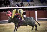 Damián Castaño, herido grave en la inauguración de la temporada taurina en Las Ventas