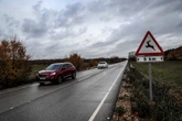Los animales están implicados en uno de cada tres accidentes de tráfico
