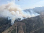 Un incendio descontrolado amenaza las montañas leonesas de Barniedo, hábitat del oso pardo