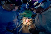 Utilizar personas en muerte cerebral para hacer experimentos médicos: el nuevo debate en la frontera de la bioética