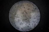 Mar de plástico: un estudio global de los océanos mide miles de micropartículas hasta en la fosa de las Marianas