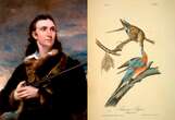 Esclavista, supremacista y leyenda: qué hacer con John James Audubon, genio de la ornitología estadounidense