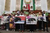 Ni muerte ni heridas en el ruedo: Ciudad de México veta las corridas de toros “con violencia”