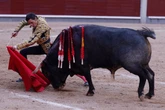 Toreo añejo, público moderno