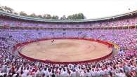 Comienza San Fermín, una sobrevalorada feria del toro