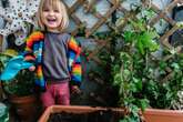 Cinco propuestas para que los niños aprendan de plantas jugando