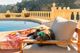 Cómo elegir la residencia de verano adecuada para nuestras mascotas