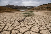 Una empresa de construcción vendió al menos 12 millones de litros de agua de manera ilegal en el peor momento de la sequía en Málaga