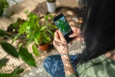 ¿Qué bicho es ese? ¿Qué pájaro está cantando? Probamos las mejores ‘apps’ para identificar especies en la naturaleza