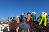 De la caída en picado a la exitosa recuperación: la sardina ibérica reconquista el sello de pesca sostenible