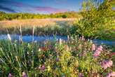 Se acerca el otoño, una segunda primavera en el jardín y en las plantas