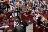 Saltarines y deslucidos toros de rejoneo