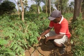Zambia, el primer país africano en quebrar y el símbolo de la crisis de deuda postcovid: “Por favor, cancelen las deudas para que el Gobierno pueda invertir en agricultura y salud”
