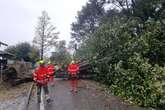 La borrasca Kirk se ceba con Galicia: cortes, vuelos y trenes cancelados, inundaciones y un sinfín de árboles arrancados