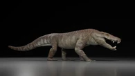 El ‘cocodrilo feroz’ que devoraba dinosaurios en la Patagonia hace 70 millones de años