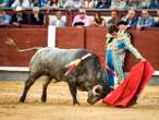 Curro Díaz, un torero de culto, independiente y feliz, que nació en la habitación donde murió Manolete