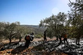 Cuando moreras, sicomoros y naranjos cuentan la historia de Palestina e Israel