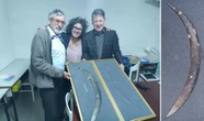 Un ‘bumerán’ tallado en un colmillo de mamut revela pensamiento simbólico complejo hace 42.000 años