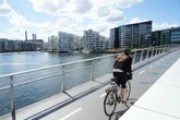 Construir carriles bici como en Copenhague en ciudades de todo el mundo ahorraría 435.000 millones al año en salud