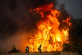 Calor extremo, récord de incendios y un Mediterráneo recalentado: España queda atrapada en la emergencia climática