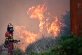 Una empresa provoca un incendio en León mientras cortaba árboles sin permiso en época de alerta máxima