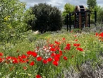 Parques urbanos sin químicos que combaten las plagas con insectos y murciélagos