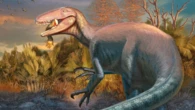 Francesc Gascó, arqueólogo: "Hay un dinosaurio que se llama el Joaquinraptor, acaban de descubrirlo en la Patagonia argentina"