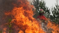 Portugal, entre eucaliptos y bomberos voluntarios, se consume un año más por las llamas