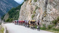 Acortan la etapa del Tour de este viernes por una peste en un rebaño del recorrido