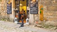 Lleva a su perro a un bar, se hace pis y la solución que propone el local acaba en denuncia: "Nos castigaron"