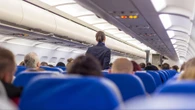 Una azafata confirma el único animal que se puede subir contigo a un avión bajo una circunstancia: tiene su propio asiento