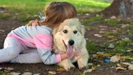 Se hace una foto con su perro en Granada y años después se sorprende por el lugar en el que aparece: la ha visto todo el mundo