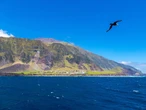 The world's most isolated settlement sits at the foot of an active volcano in the South Atlantic Ocean. See what life there is like.