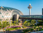 I'm an Australian living in the US. I route all my flights home through Singapore just to explore Changi Airport.