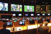 Sports betting is the next frontier for Wall Street's smartest quants to conquer 