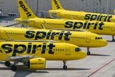 A Spirit Airlines fan has launched Spirit 2.0, a crowdsourcing effort to buy the airline: 'The people can own it'