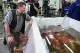 Scientists went on a hunt for the elusive colossal squid &mdash; and brought cruise ship tourists with them