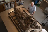 The body of a 150 million-year-old sea monster is lurking under a British cliff, says a scientist. Time is running out to find it. 