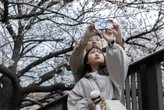 Tokyo is launching a dating app where users have to verify their income and promise they want to get married, as Japan fights tumbling birth rates